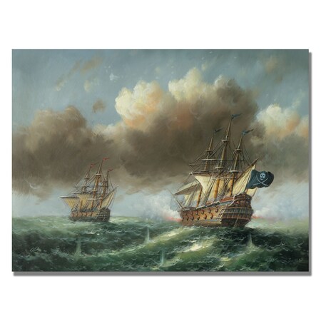 Trademark Fine Art Rio 'The Revenge' Canvas Art, 24x32 MA0266-C2432GG